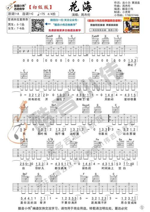 吉他成人鸳鸯教学视频