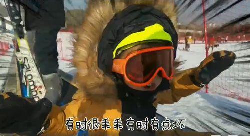 成人滑雪单板视频大全,视频大全带你畅游雪场
