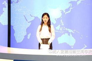 成人朗诵技巧视频下载,跟随技巧视频，提升朗诵艺术