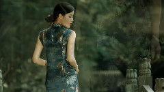 月亮视频下载成人网,揭秘暗网秘密与风险