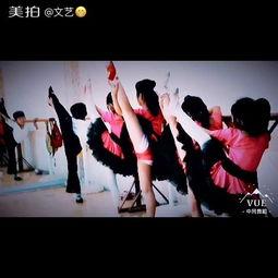 舞蹈成人拉丁舞视频,成人拉丁舞视频教程深度解析