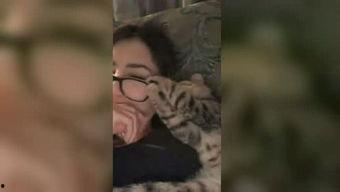 成人狼人的视频