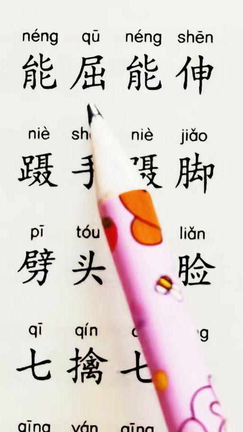 成人拼音识字全部教学视频,成人拼音识字教学视频精华概述