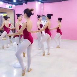 舞蹈成人弹腿视频大全集,成人弹腿舞蹈视频大全集赏析