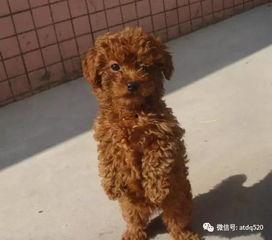 出生到成人的过程视频,成长历程的精彩瞬间