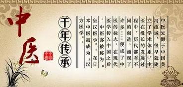 中药成人贴敷疗法视频,传统养生新视角