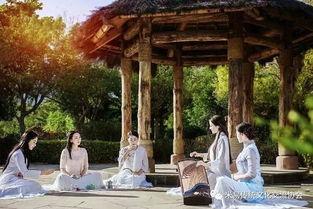 曾老师成人学古筝视频,轻松入门古筝艺术的秘籍解析