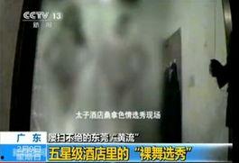 在线观看成人视频,在线观看现象背后的真相与反思