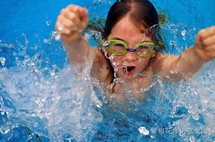 成人洗澡游泳玩水视频大全,成人洗澡游泳玩水视频精选集锦