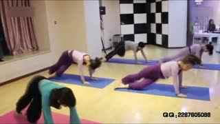 成人单杠视频教程全集,视频教程全集精华概述