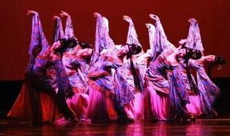 成人主题舞蹈视频大全,主题舞蹈视频大全精选回顾