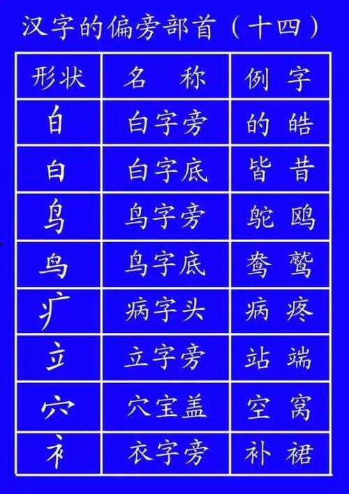 成人练字笔画全套教程视频,轻松掌握汉字书写技巧